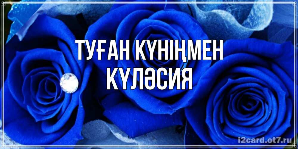 Күн сайын ашық хат с именем, КҮЛӘСИЯ Туған күніңмен синие розы в росе Онлайн тегін жүктеп алу тілектері бар керемет карта 