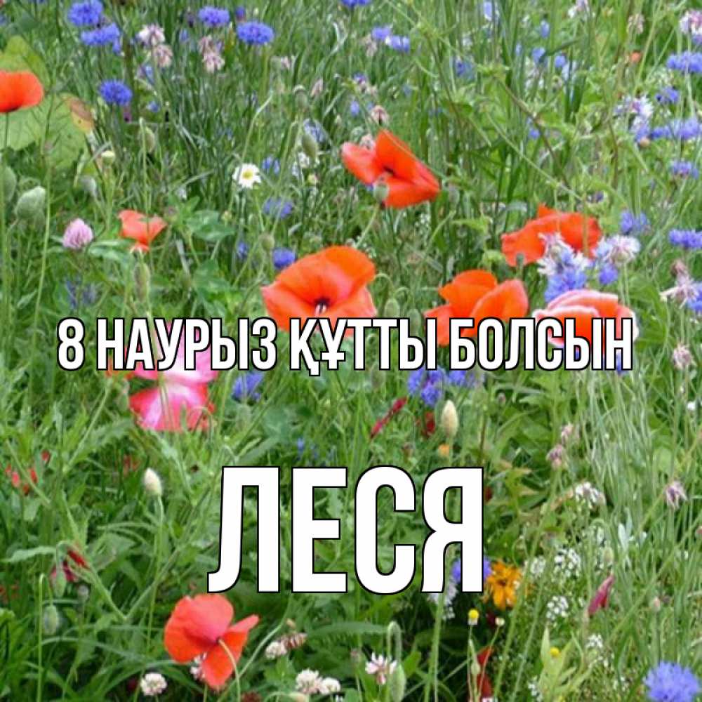 Күн сайын ашық хат с именем, Леся 8 наурыз құтты болсын международный женский день 4 Онлайн тегін жүктеп алу тілектері бар керемет карта 