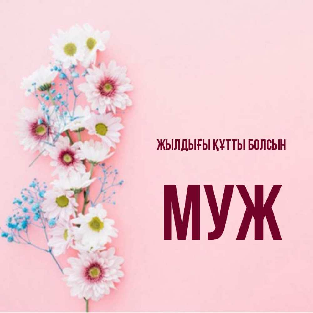 Күн сайын ашық хат с именем, Муж Жылдығы құтты болсын Родная моя с днем рождения тебя картинка с цветами белыми и голубыми Онлайн тегін жүктеп алу тілектері бар керемет карта 