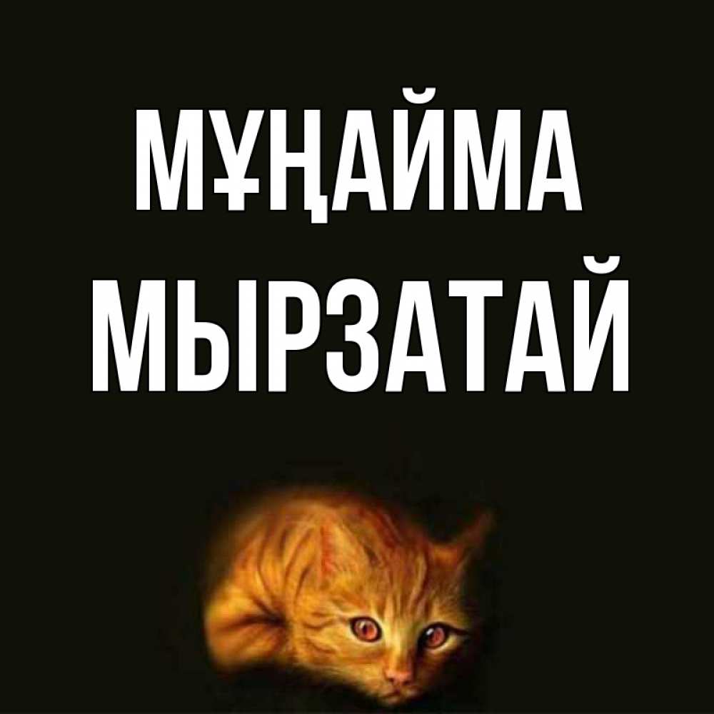 Күн сайын ашық хат с именем, Мырзатай Мұңайма лежащий кот в темноте Онлайн тегін жүктеп алу тілектері бар керемет карта 