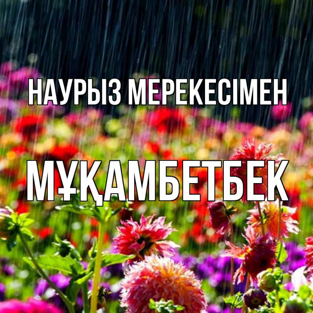Күн сайын ашық хат с именем, Мұқамбетбек Наурыз мерекесімен цветы под дождиком к международному женскому дню Онлайн тегін жүктеп алу тілектері бар керемет карта 