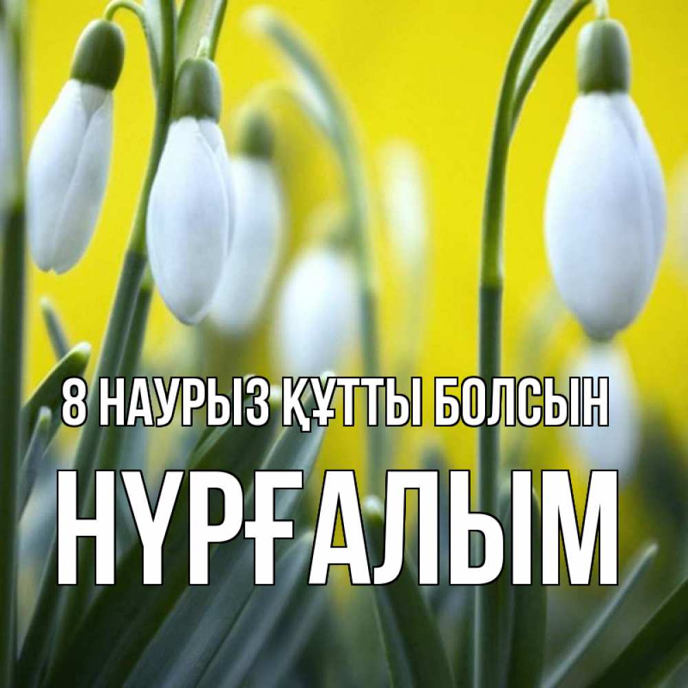 Күн сайын ашық хат с именем, НҮРҒАЛЫМ 8 наурыз құтты болсын весенние цветы Онлайн тегін жүктеп алу тілектері бар керемет карта 