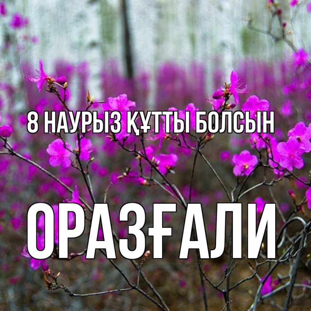 Күн сайын ашық хат с именем, ОРАЗҒАЛИ 8 наурыз құтты болсын дикие цветы Онлайн тегін жүктеп алу тілектері бар керемет карта 
