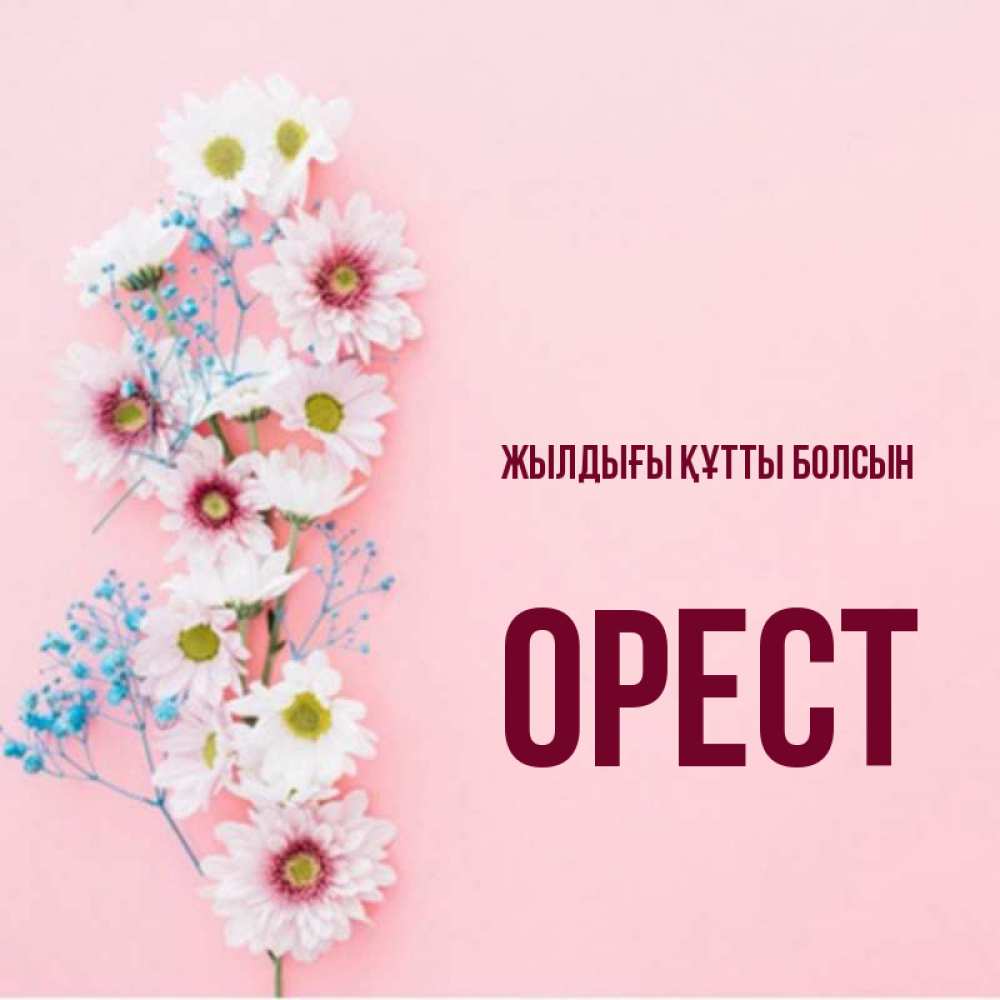 Күн сайын ашық хат с именем, Орест Жылдығы құтты болсын Родная моя с днем рождения тебя картинка с цветами белыми и голубыми Онлайн тегін жүктеп алу тілектері бар керемет карта 