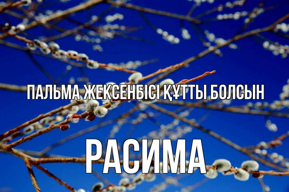 Күн сайын ашық хат с именем, РАСИМА Пальма жексенбісі құтты болсын верба Онлайн тегін жүктеп алу тілектері бар керемет карта 