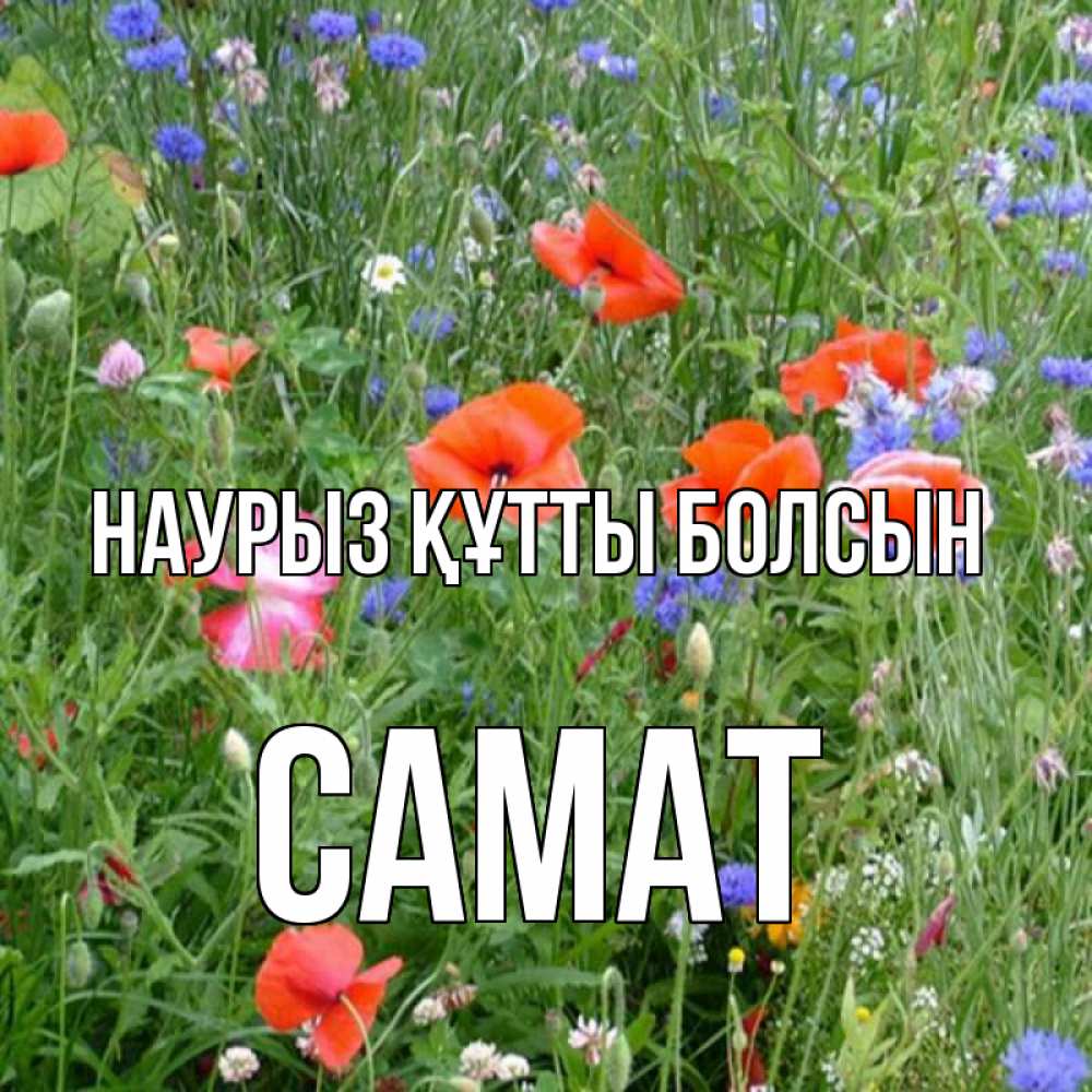 Күн сайын ашық хат с именем, САМАТ Наурыз құтты болсын наурыз  4 Онлайн тегін жүктеп алу тілектері бар керемет карта 