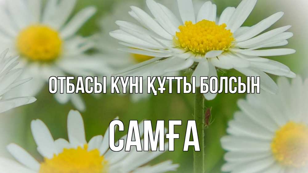 Күн сайын ашық хат с именем, САМҒА отбасы күні құтты болсын с днем семьи  1 Онлайн тегін жүктеп алу тілектері бар керемет карта 