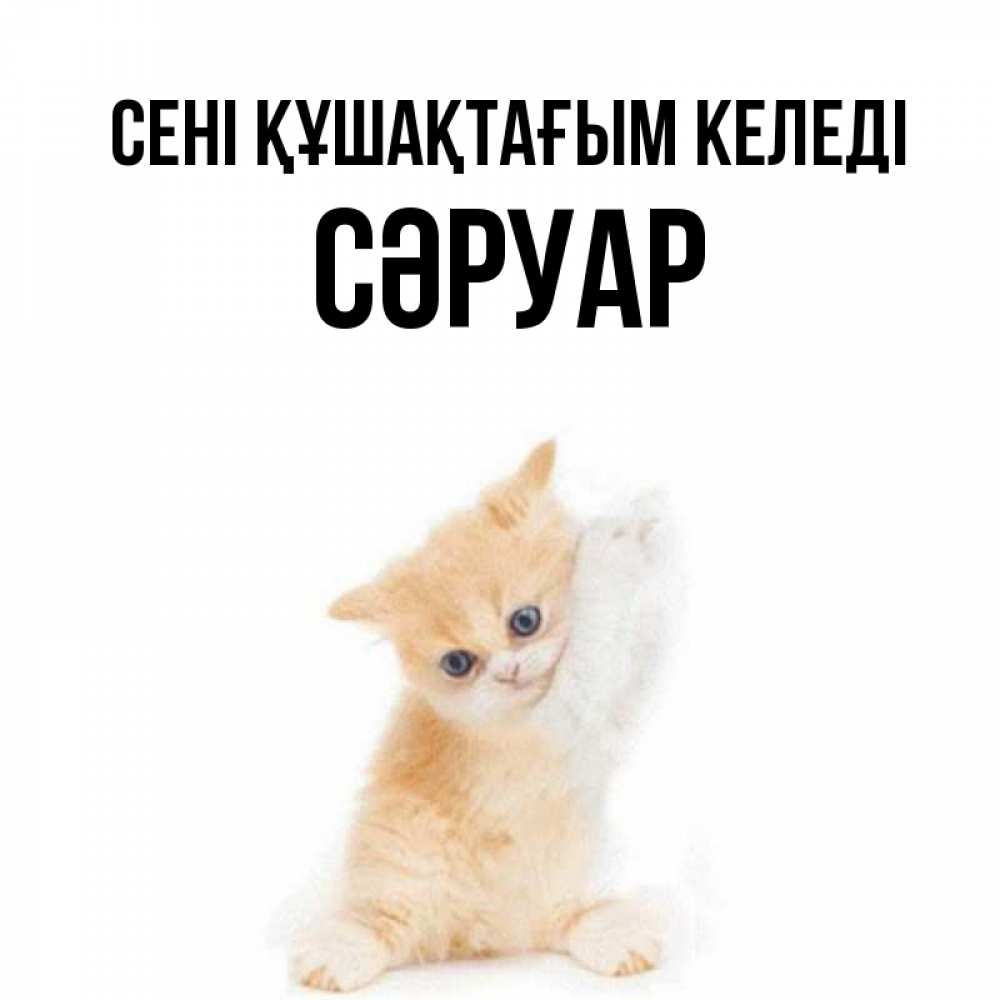Күн сайын ашық хат с именем, СӘРУАР сені құшақтағым келеді я хочу очень скорее обнимаешек Онлайн тегін жүктеп алу тілектері бар керемет карта 