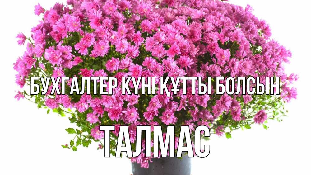 Күн сайын ашық хат с именем, ТАЛМАС бухгалтер күні құтты болсын с днем бухгалтера Онлайн тегін жүктеп алу тілектері бар керемет карта 