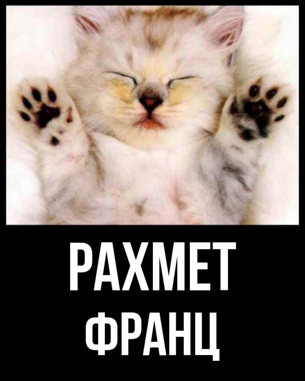 Күн сайын ашық хат с именем, Франц рахмет маленький котенок Онлайн тегін жүктеп алу тілектері бар керемет карта 
