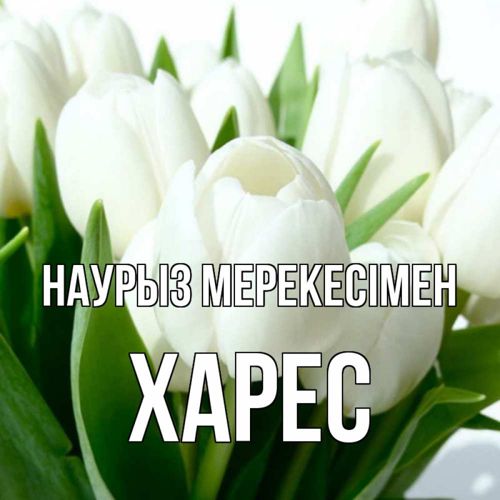 Күн сайын ашық хат с именем, ХАРЕС Наурыз мерекесімен цветы Онлайн тегін жүктеп алу тілектері бар керемет карта 