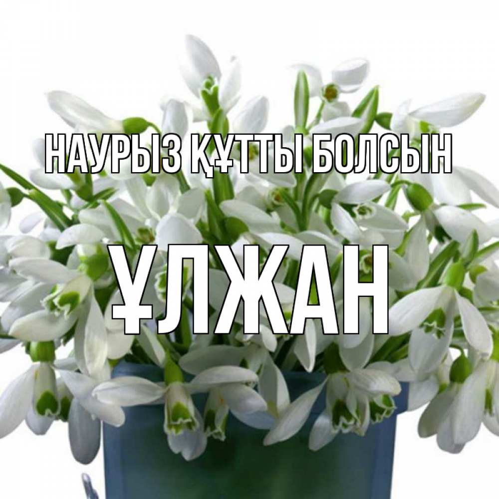 Күн сайын ашық хат с именем, ҰЛЖАН Наурыз құтты болсын цветы к наурызу Онлайн тегін жүктеп алу тілектері бар керемет карта 