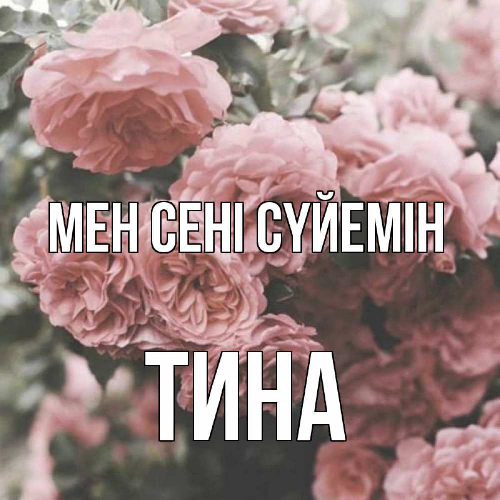 Күн сайын ашық хат с именем, Тина Мен сені сүйемін розы 3 Онлайн тегін жүктеп алу тілектері бар керемет карта 