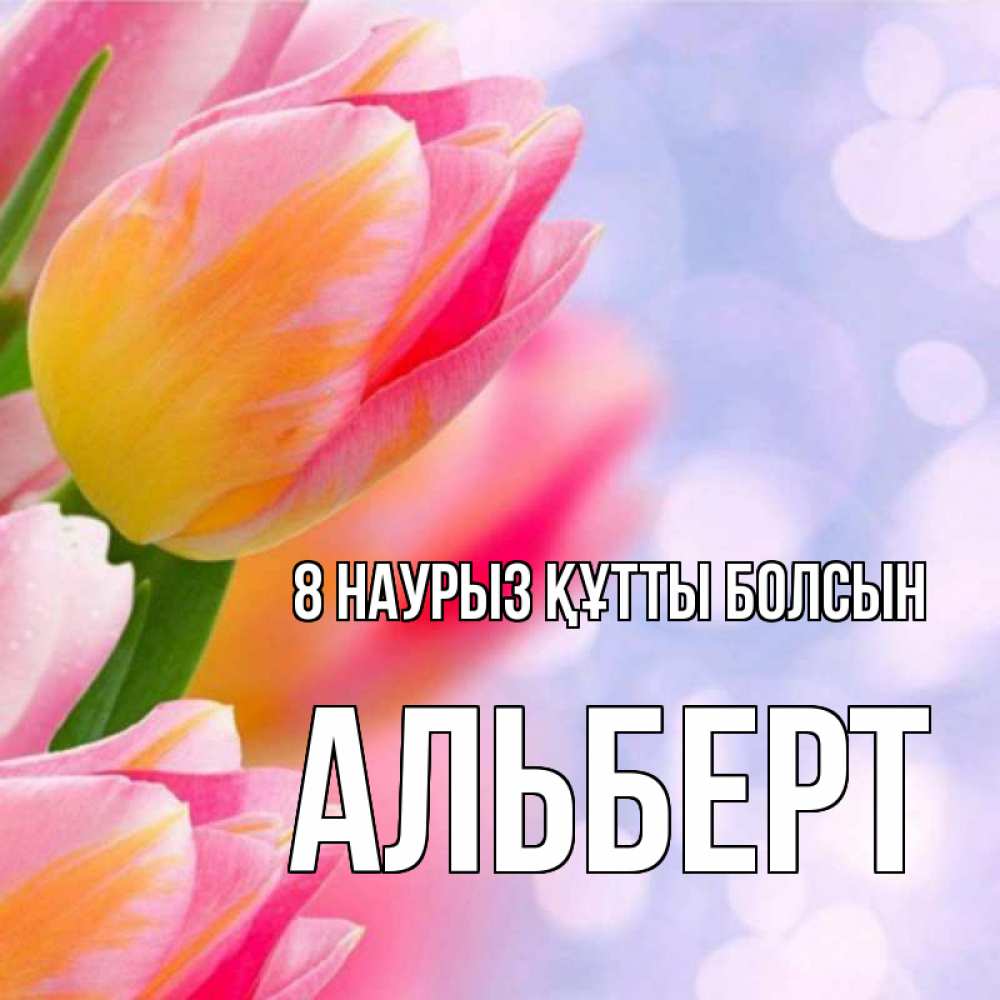 Күн сайын ашық хат с именем, Альберт 8 наурыз құтты болсын тюльпаны 2 Онлайн тегін жүктеп алу тілектері бар керемет карта 