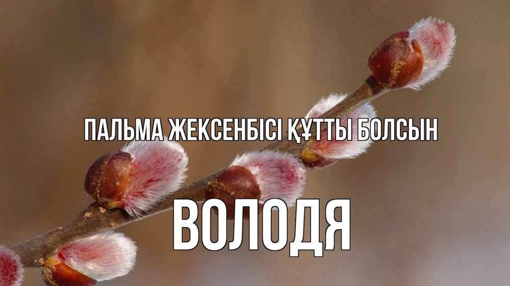 Картинка Пальма жексенбісі құтты болсын, Володя