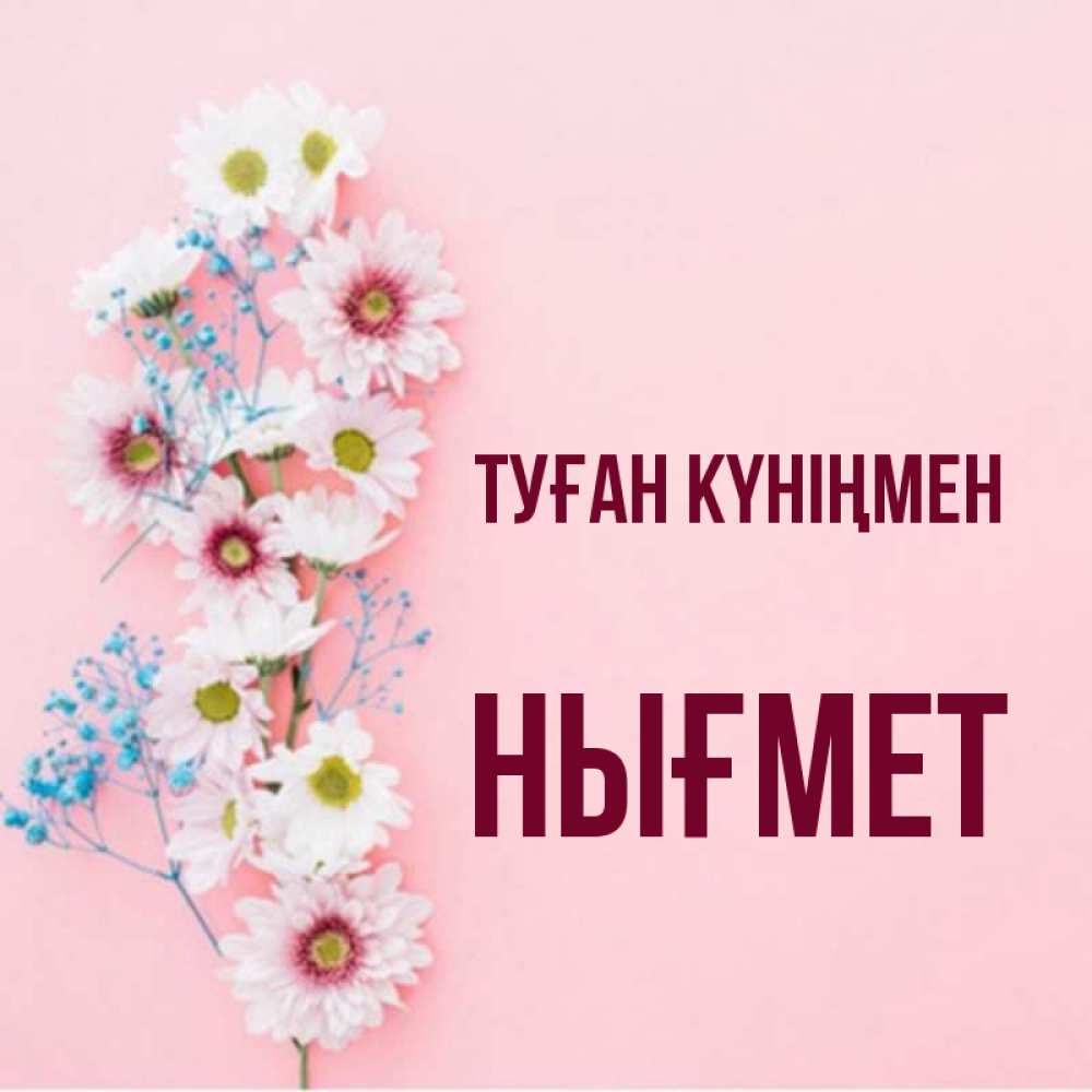 Күн сайын ашық хат с именем, НЫҒМЕТ Туған күніңмен Родная моя с днем рождения тебя картинка с цветами белыми и голубыми Онлайн тегін жүктеп алу тілектері бар керемет карта 