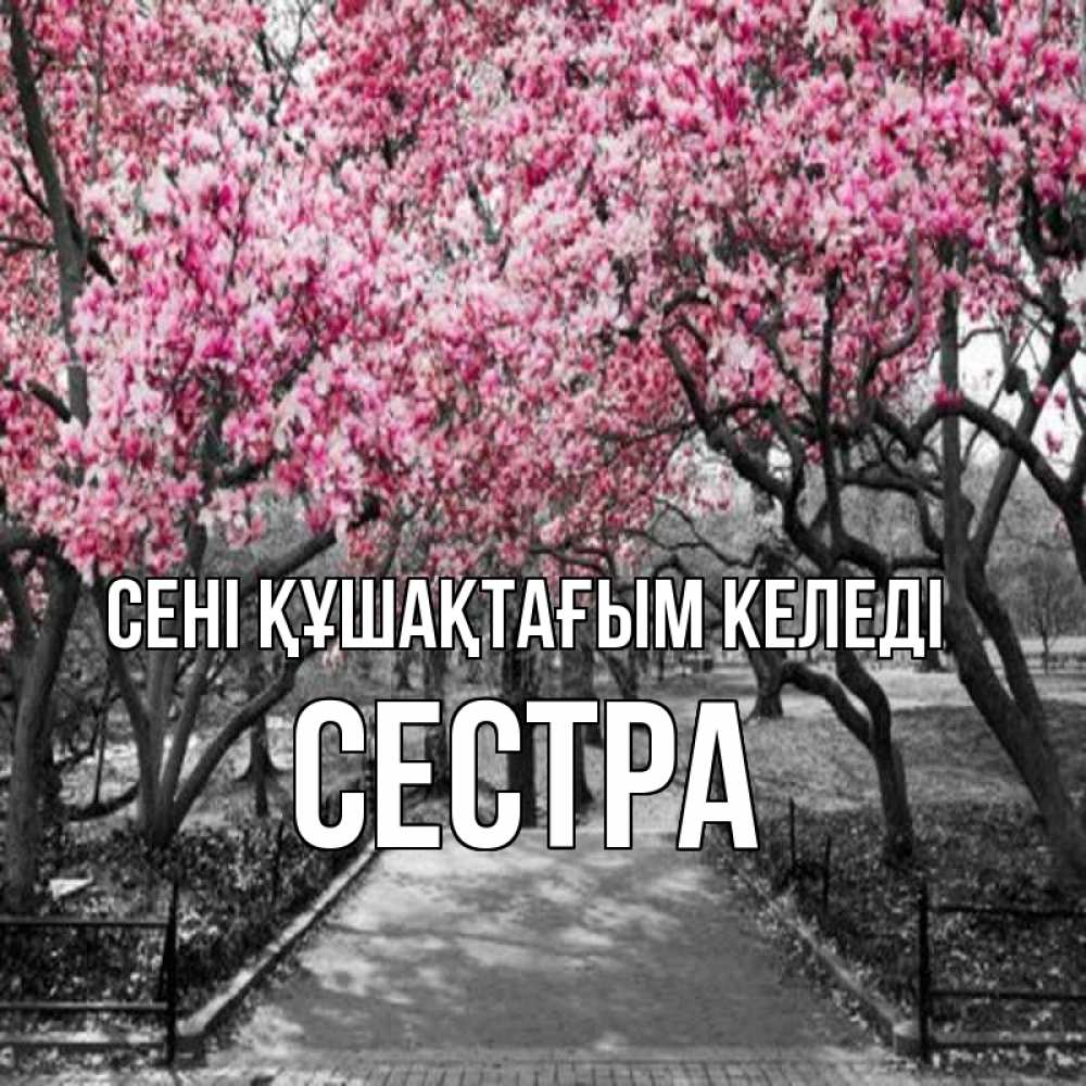 Күн сайын ашық хат с именем, Сестра сені құшақтағым келеді обработанное фото Онлайн тегін жүктеп алу тілектері бар керемет карта 