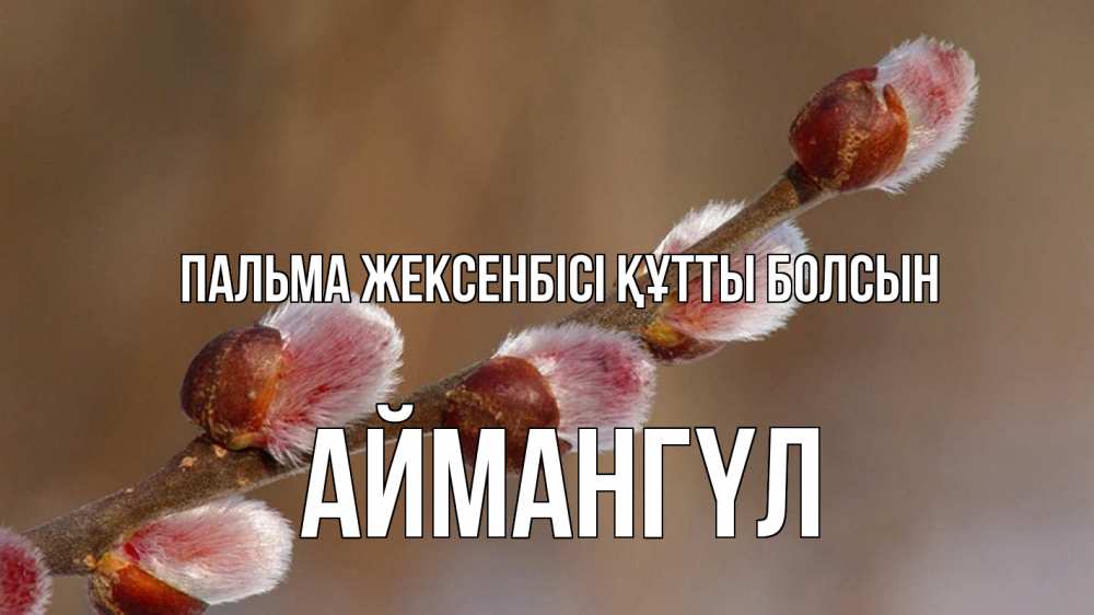 Күн сайын ашық хат с именем, Аймангүл Пальма жексенбісі құтты болсын верба Онлайн тегін жүктеп алу тілектері бар керемет карта 