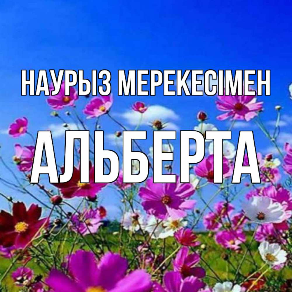 Күн сайын ашық хат с именем, Альберта Наурыз мерекесімен цветы Онлайн тегін жүктеп алу тілектері бар керемет карта 