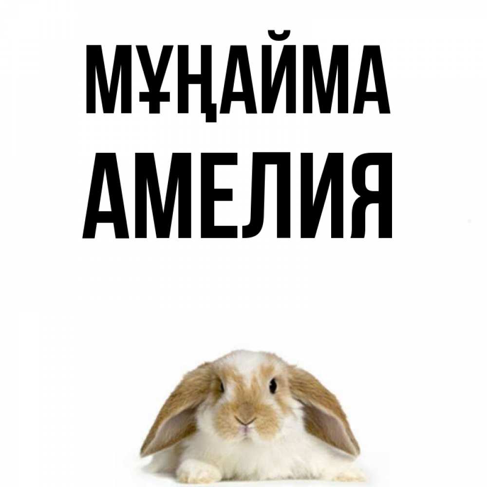 Күн сайын ашық хат с именем, Амелия Мұңайма коричнево белый заяц с большими ушками Онлайн тегін жүктеп алу тілектері бар керемет карта 