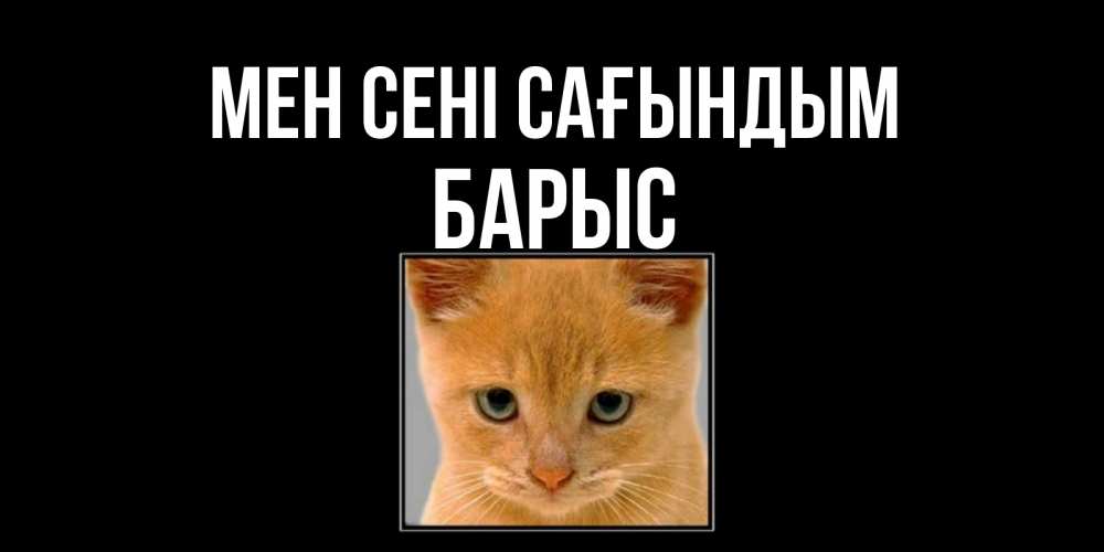 Күн сайын ашық хат с именем, Барыс Мен сені сағындым открытки рыжий котенок скучает по тебе Онлайн тегін жүктеп алу тілектері бар керемет карта 
