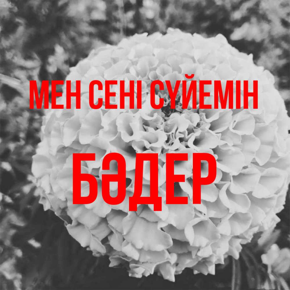Күн сайын ашық хат с именем, БӘДЕР Мен сені сүйемін подпись Онлайн тегін жүктеп алу тілектері бар керемет карта 