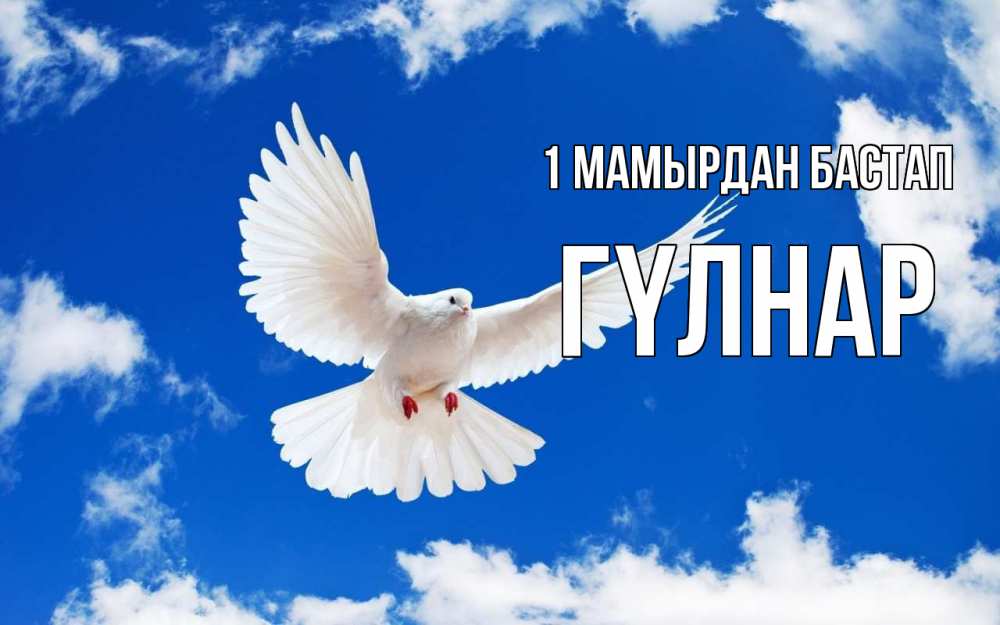 Күн сайын ашық хат с именем, ГҮЛНАР 1 мамырдан бастап С 1 мая 1 Онлайн тегін жүктеп алу тілектері бар керемет карта 