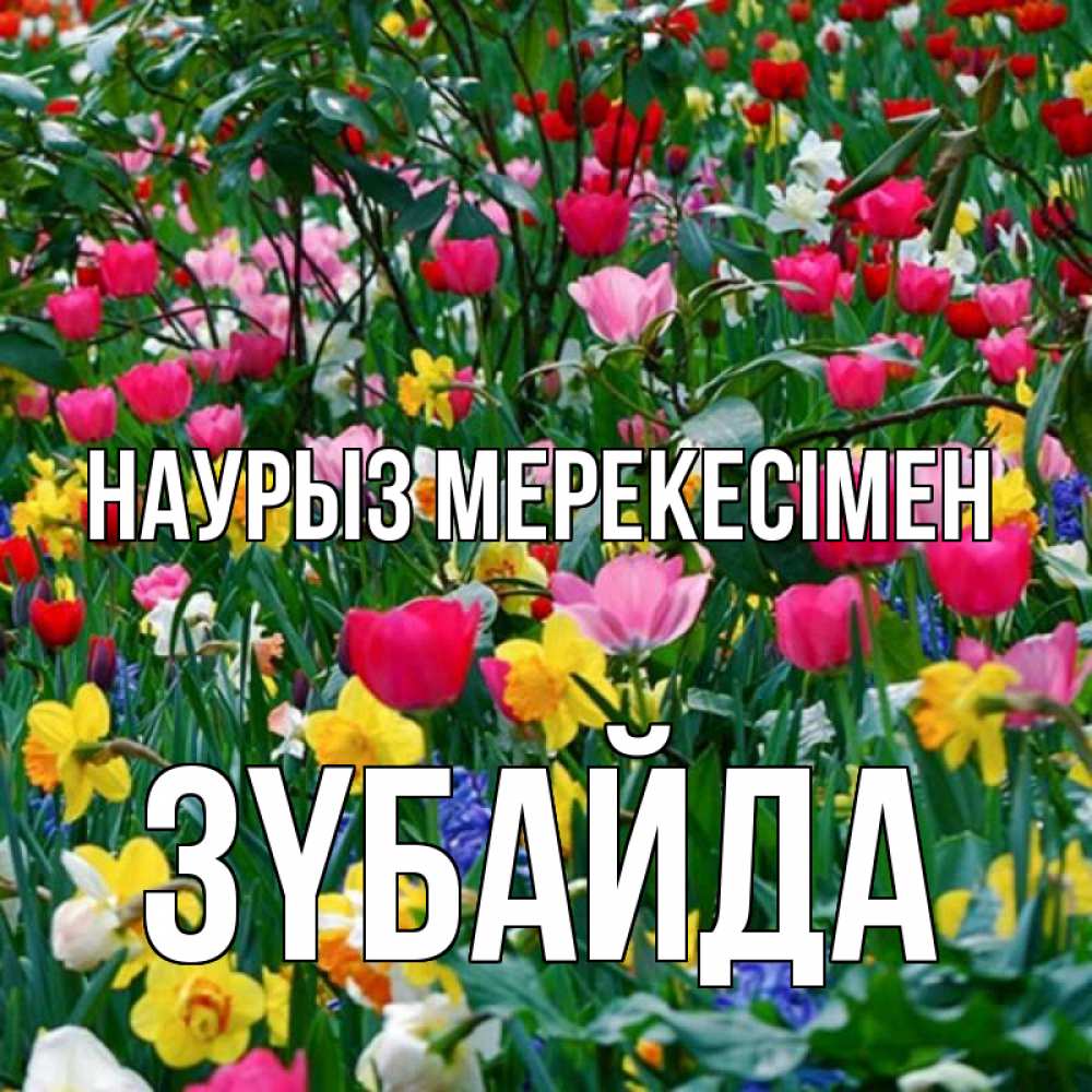 Күн сайын ашық хат с именем, ЗҮБАЙДА Наурыз мерекесімен с наурызом праздником весны поздравления для женщины Онлайн тегін жүктеп алу тілектері бар керемет карта 