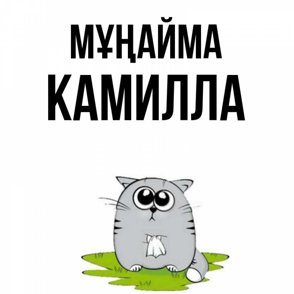 Күн сайын ашық хат с именем, Камилла Мұңайма грустный котяра Онлайн тегін жүктеп алу тілектері бар керемет карта 