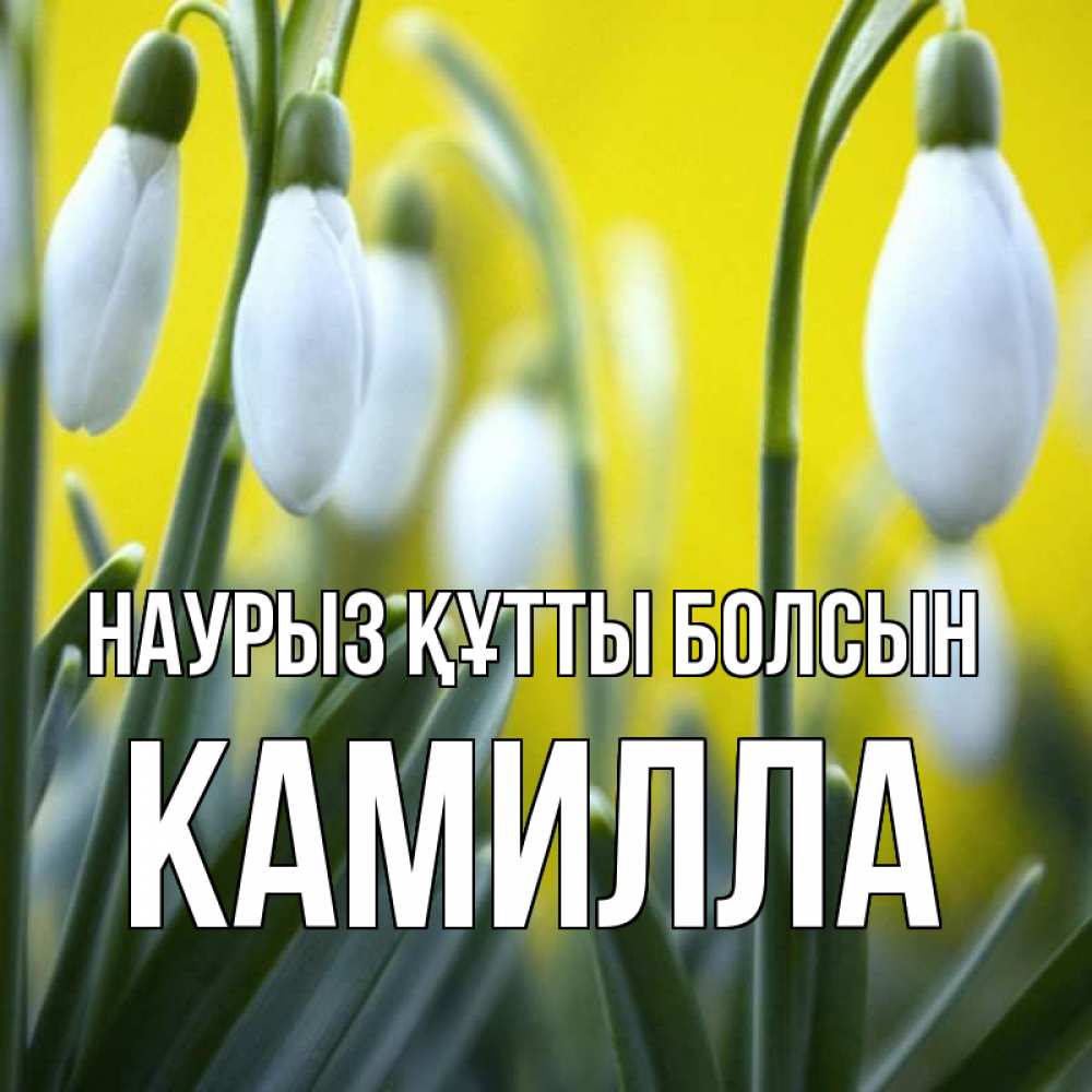 Күн сайын ашық хат с именем, Камилла Наурыз құтты болсын весенние цветы Онлайн тегін жүктеп алу тілектері бар керемет карта 