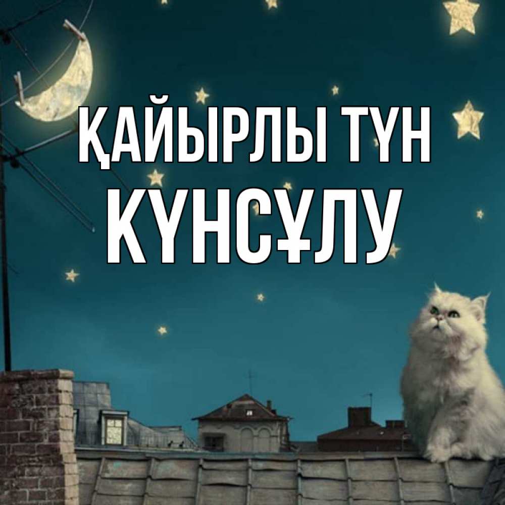 Күн сайын ашық хат с именем, КҮНСҰЛУ Қайырлы түн белый кот сидит на крыше Онлайн тегін жүктеп алу тілектері бар керемет карта 