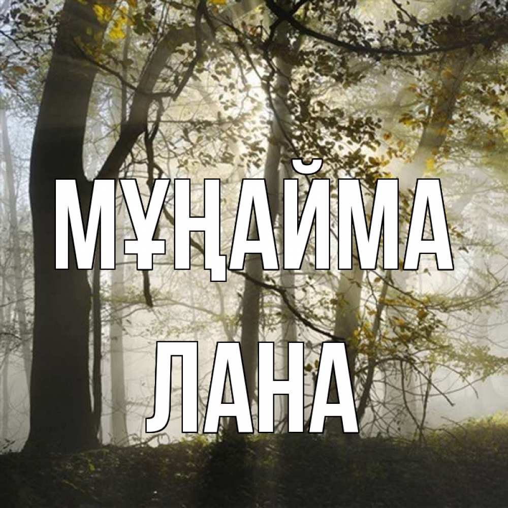 Күн сайын ашық хат с именем, Лана Мұңайма лес и свет Онлайн тегін жүктеп алу тілектері бар керемет карта 