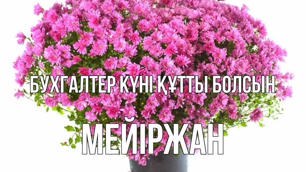 Күн сайын ашық хат с именем, МЕЙІРЖАН бухгалтер күні құтты болсын с днем бухгалтера Онлайн тегін жүктеп алу тілектері бар керемет карта 