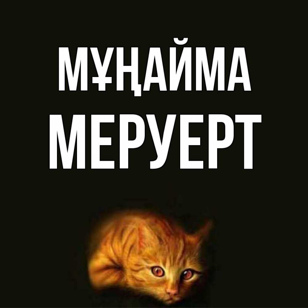 Күн сайын ашық хат с именем, МЕРУЕРТ Мұңайма лежащий кот в темноте Онлайн тегін жүктеп алу тілектері бар керемет карта 