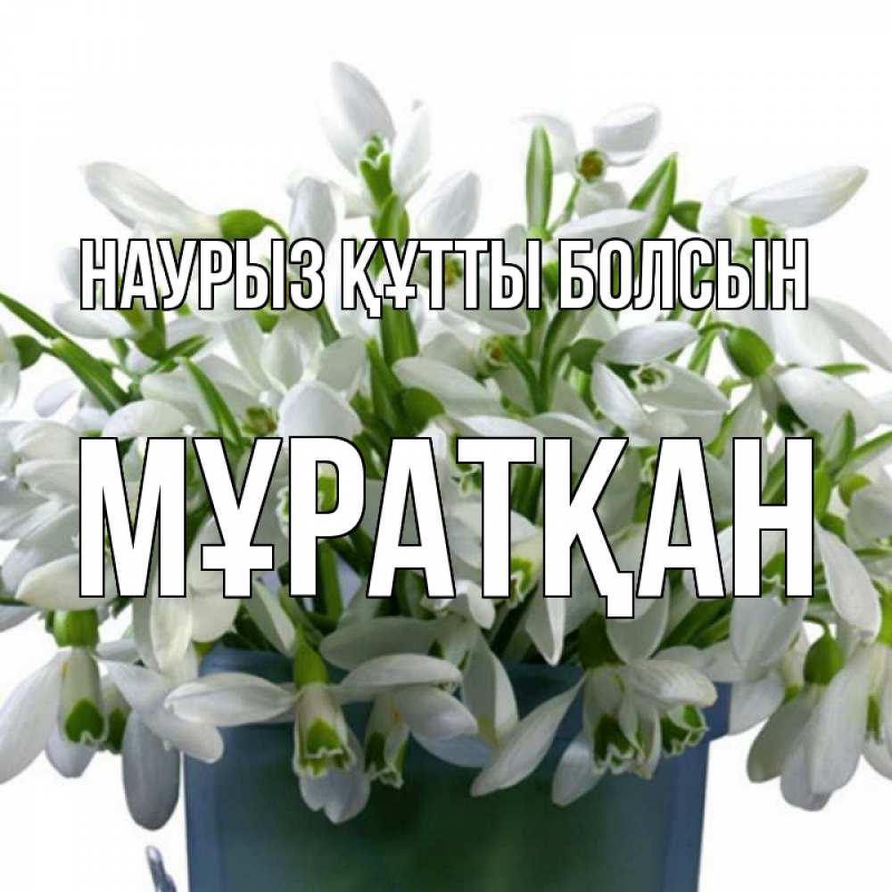 Күн сайын ашық хат с именем, Мұратқан Наурыз құтты болсын цветы к наурызу Онлайн тегін жүктеп алу тілектері бар керемет карта 