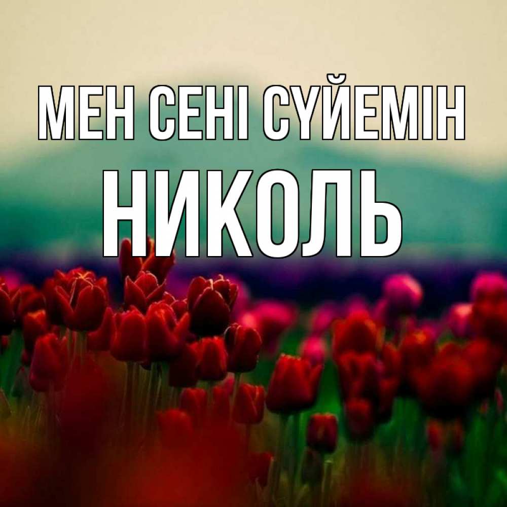 Күн сайын ашық хат с именем, Николь Мен сені сүйемін тюльпаны 4 Онлайн тегін жүктеп алу тілектері бар керемет карта 