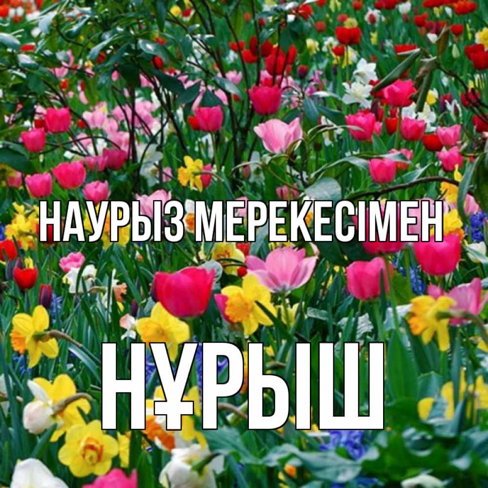 Күн сайын ашық хат с именем, Нұрыш Наурыз мерекесімен с наурызом праздником весны поздравления для женщины Онлайн тегін жүктеп алу тілектері бар керемет карта 