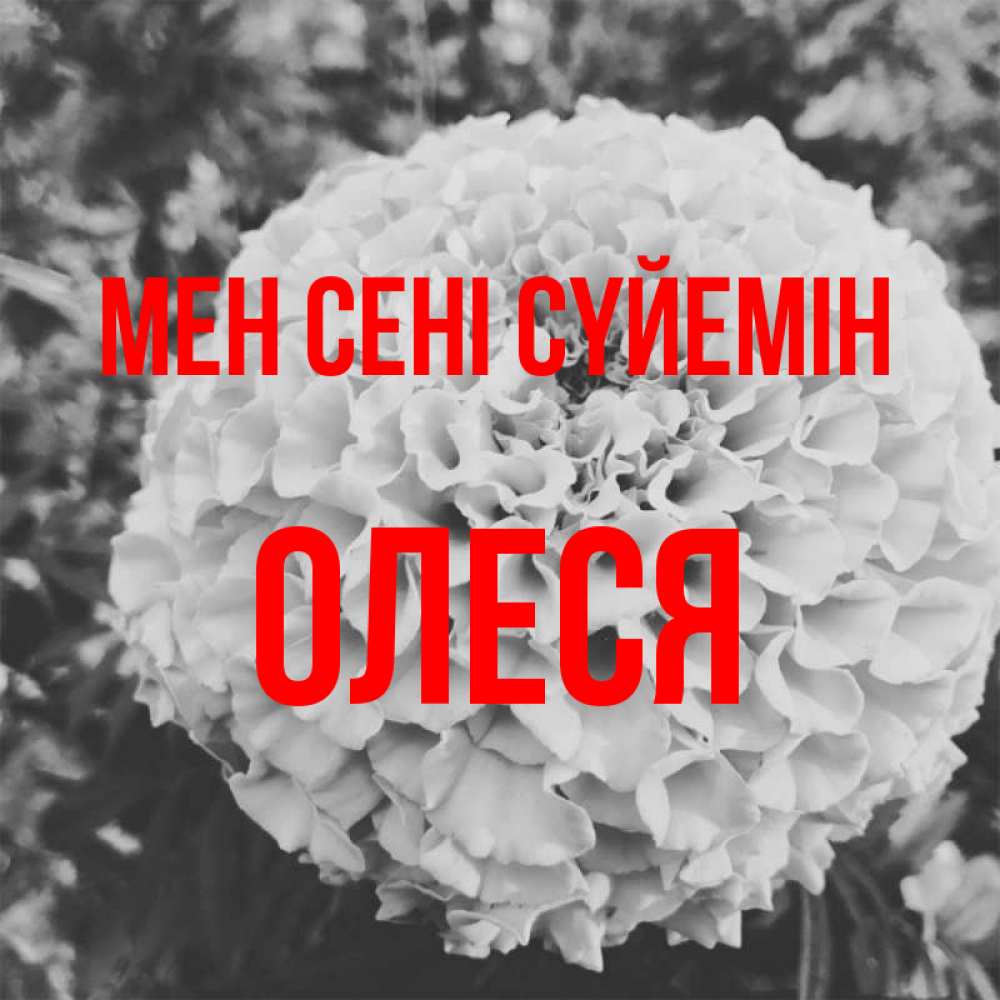 Күн сайын ашық хат с именем, Олеся Мен сені сүйемін подпись Онлайн тегін жүктеп алу тілектері бар керемет карта 