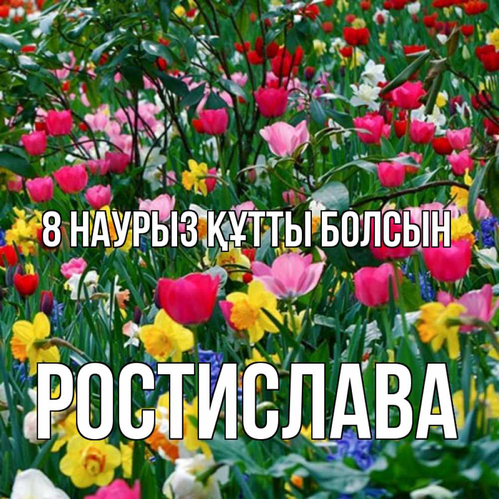 Күн сайын ашық хат с именем, Ростислава 8 наурыз құтты болсын с международным женским днем поздравления для женщины Онлайн тегін жүктеп алу тілектері бар керемет карта 