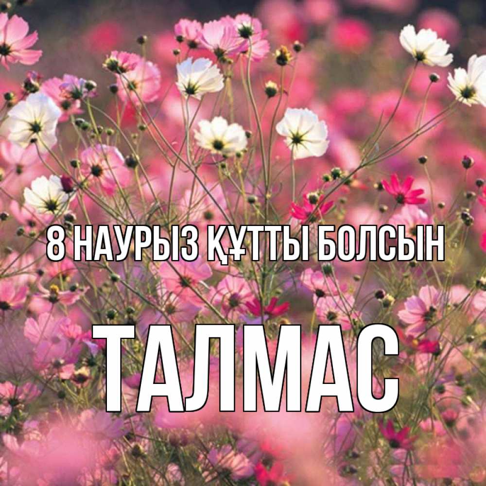 Күн сайын ашық хат с именем, ТАЛМАС 8 наурыз құтты болсын красиво 1 Онлайн тегін жүктеп алу тілектері бар керемет карта 
