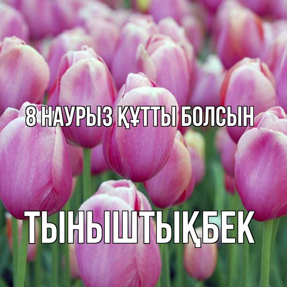 Күн сайын ашық хат с именем, ТЫНЫШТЫҚБЕК 8 наурыз құтты болсын на международный женский день 3 Онлайн тегін жүктеп алу тілектері бар керемет карта 