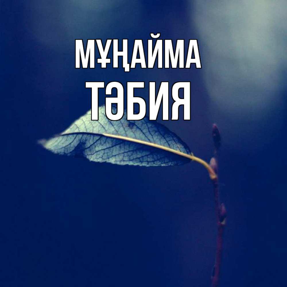 Күн сайын ашық хат с именем, ТӘБИЯ Мұңайма растение Онлайн тегін жүктеп алу тілектері бар керемет карта 