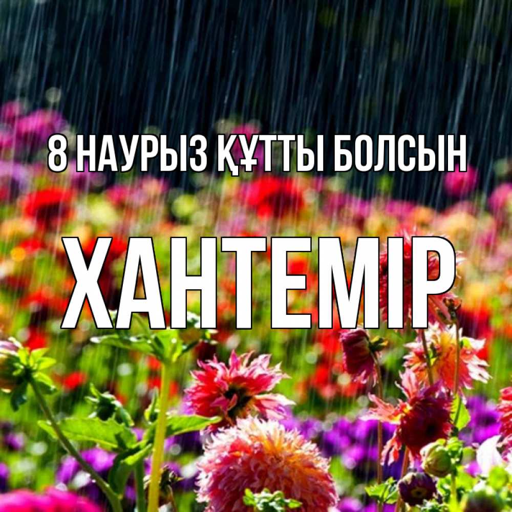 Күн сайын ашық хат с именем, ХАНТЕМІР 8 наурыз құтты болсын цветы под дождиком к международному женскому дню Онлайн тегін жүктеп алу тілектері бар керемет карта 