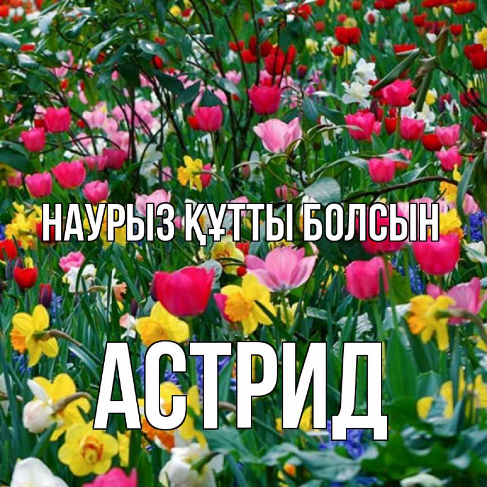 Күн сайын ашық хат с именем, Астрид Наурыз құтты болсын с наурызом поздравления для женщины Онлайн тегін жүктеп алу тілектері бар керемет карта 