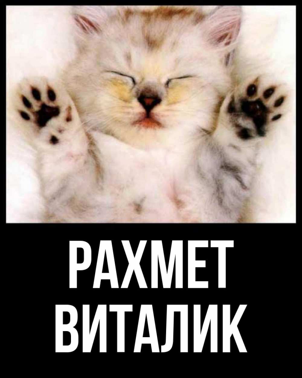 Күн сайын ашық хат с именем, Виталик рахмет маленький котенок Онлайн тегін жүктеп алу тілектері бар керемет карта 