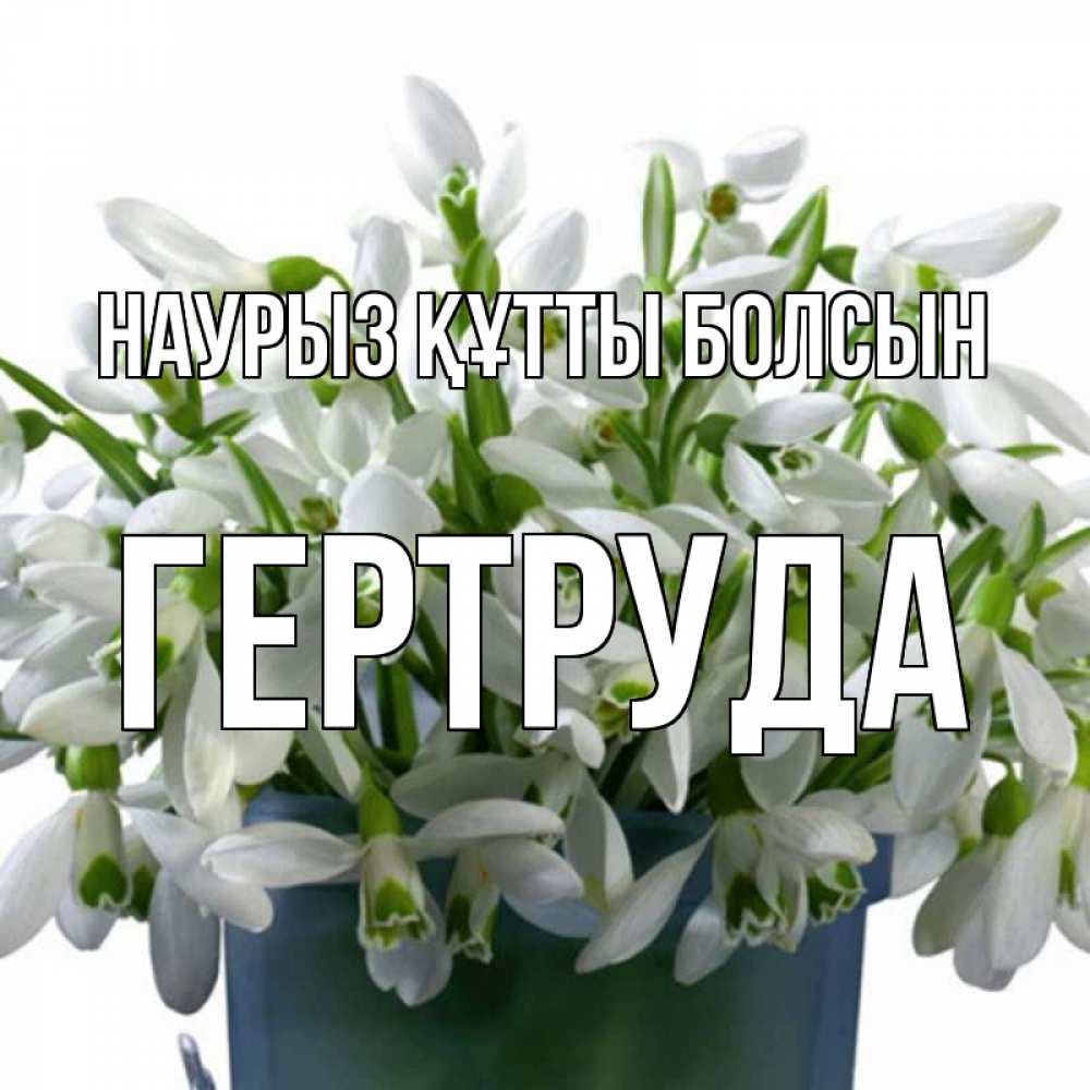 Күн сайын ашық хат с именем, Гертруда Наурыз құтты болсын цветы к наурызу Онлайн тегін жүктеп алу тілектері бар керемет карта 