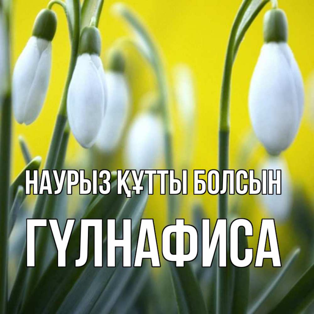 Күн сайын ашық хат с именем, ГҮЛНАФИСА Наурыз құтты болсын весенние цветы Онлайн тегін жүктеп алу тілектері бар керемет карта 