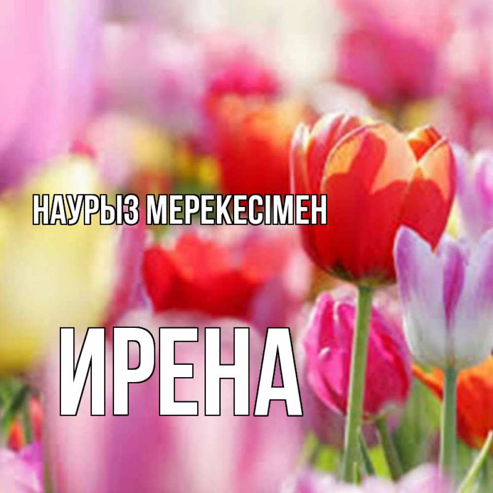Күн сайын ашық хат с именем, Ирена Наурыз мерекесімен праздник весны наурыз 67 Онлайн тегін жүктеп алу тілектері бар керемет карта 
