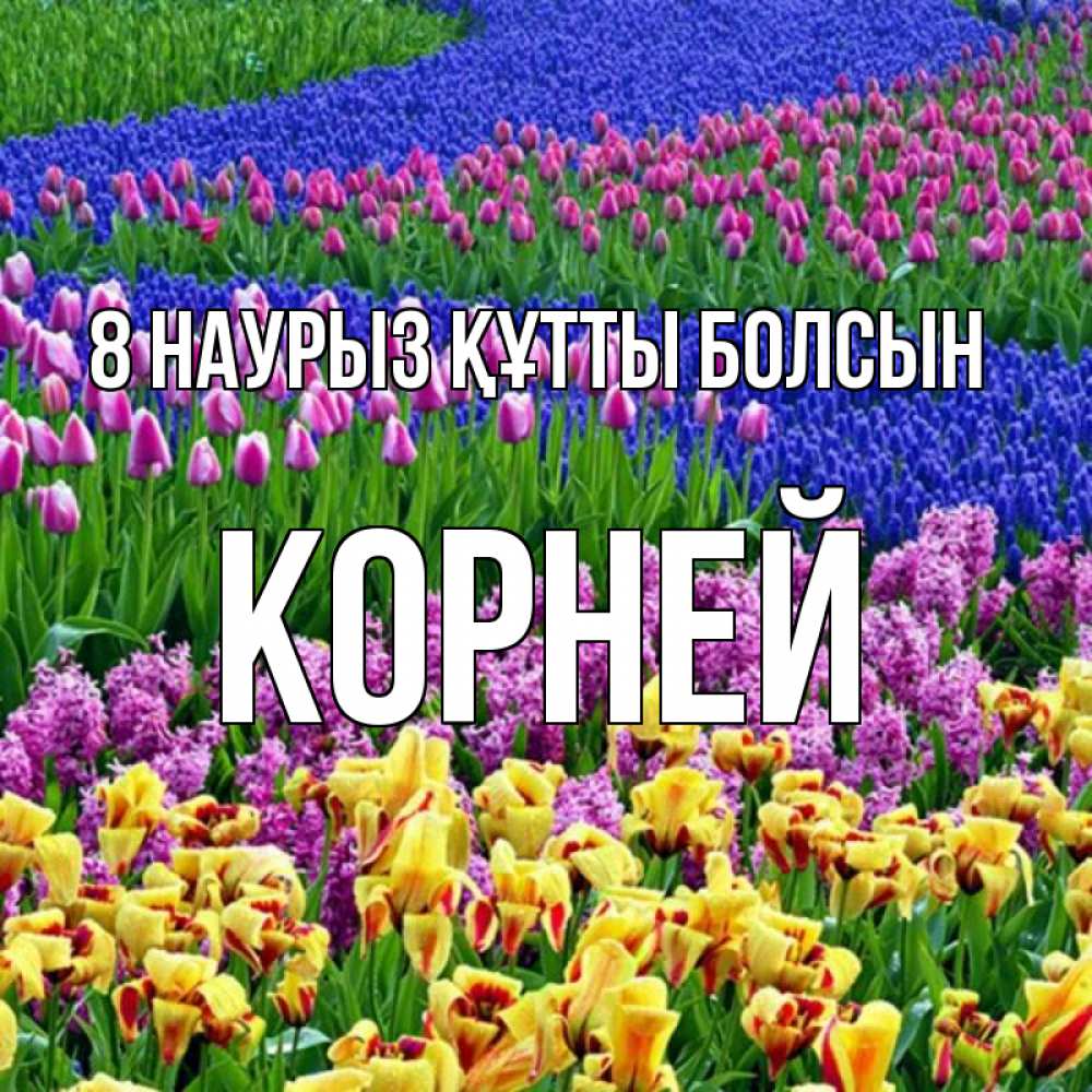 Күн сайын ашық хат с именем, Корней 8 наурыз құтты болсын цветы Онлайн тегін жүктеп алу тілектері бар керемет карта 