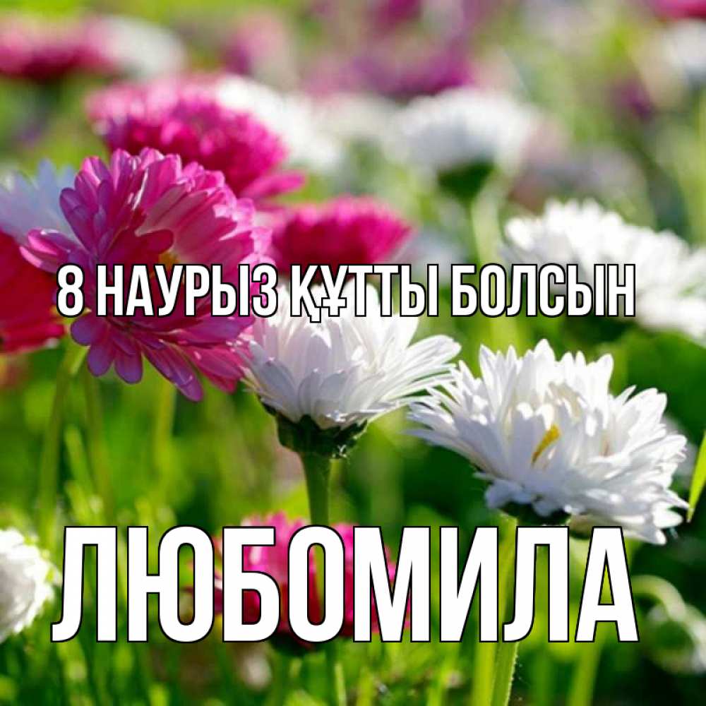 Күн сайын ашық хат с именем, Любомила 8 наурыз құтты болсын международный женский день 1 Онлайн тегін жүктеп алу тілектері бар керемет карта 